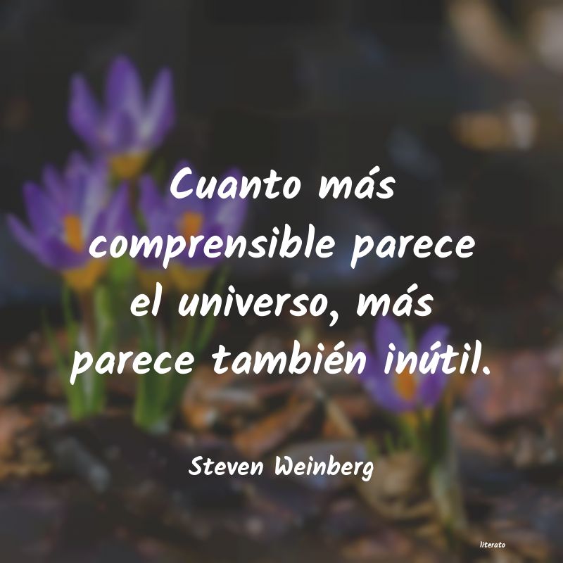 Frases de Steven Weinberg