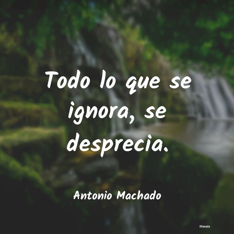 Frases de Antonio Machado