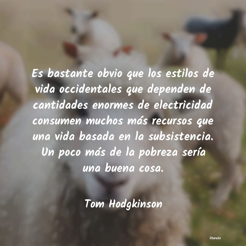 Frases de Tom Hodgkinson