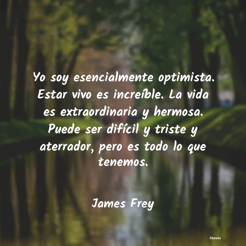 Frases de James Frey