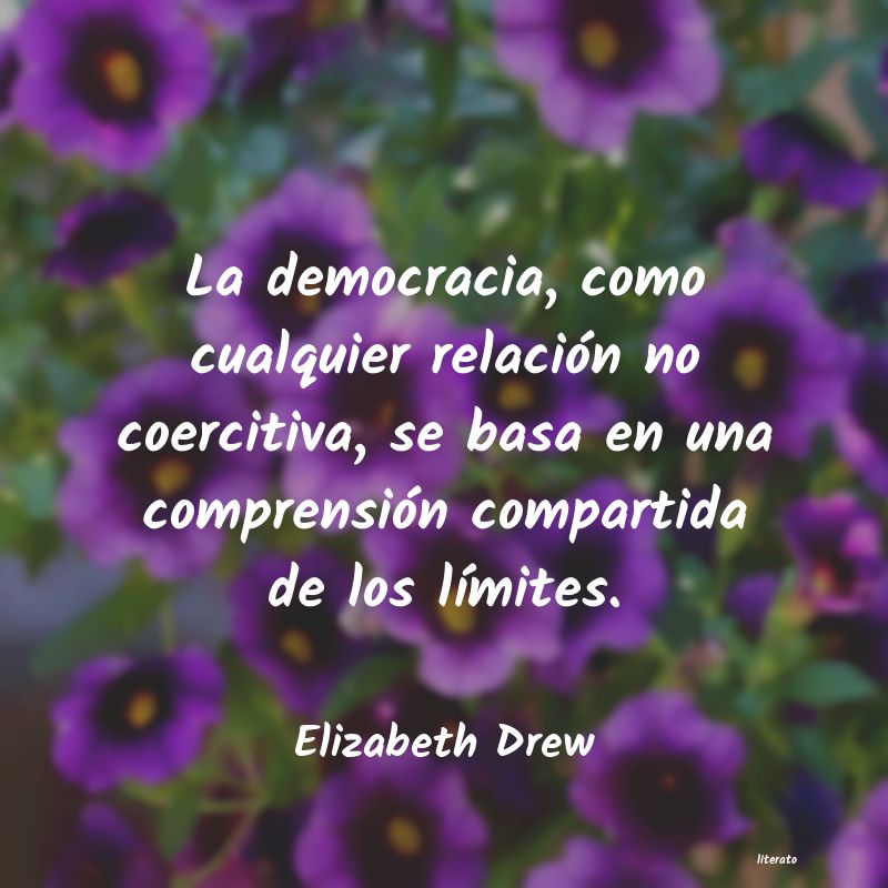 frases de Elizabeth Drew