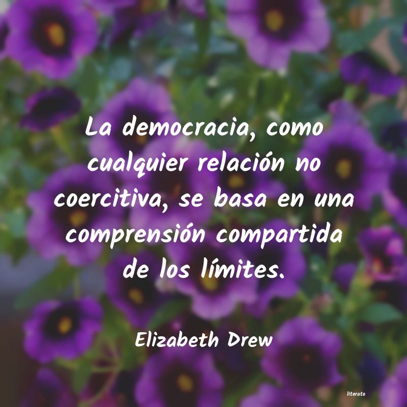 Frases de Elizabeth Drew