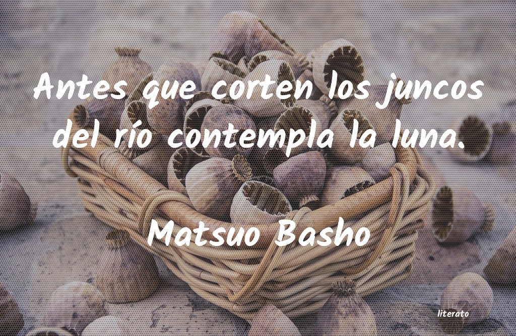 Frases de Matsuo Basho