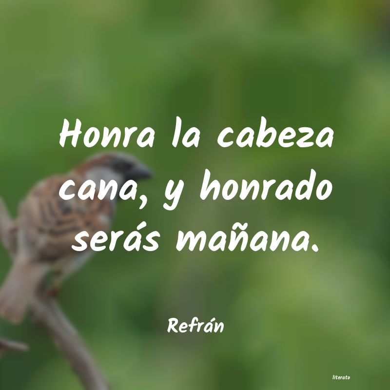 frases de Refrán
