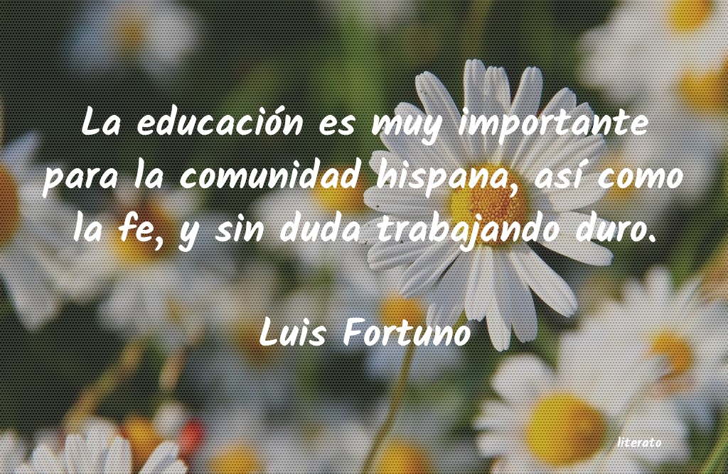Frases de Luis Fortuno