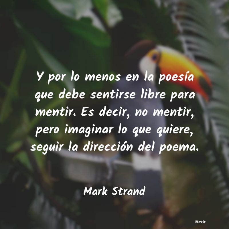 Frases de Mark Strand