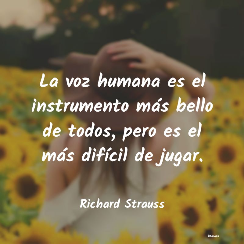 Frases de Richard Strauss