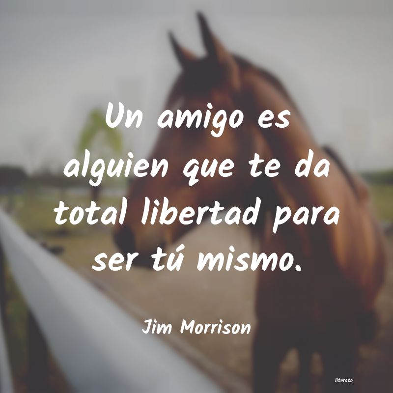 Frases de Jim Morrison