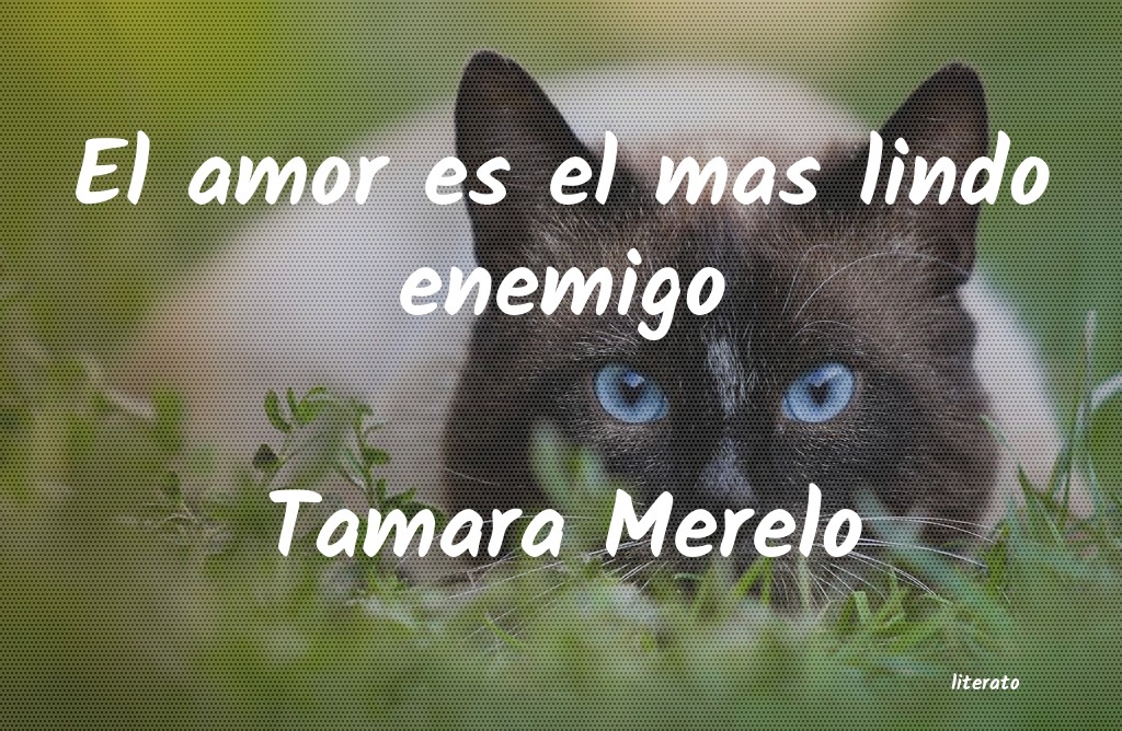 Frases de Tamara Merelo