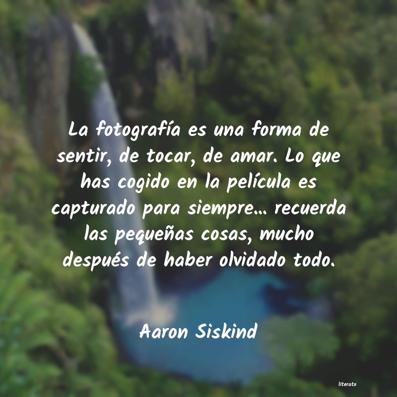 Frases de Aaron Siskind