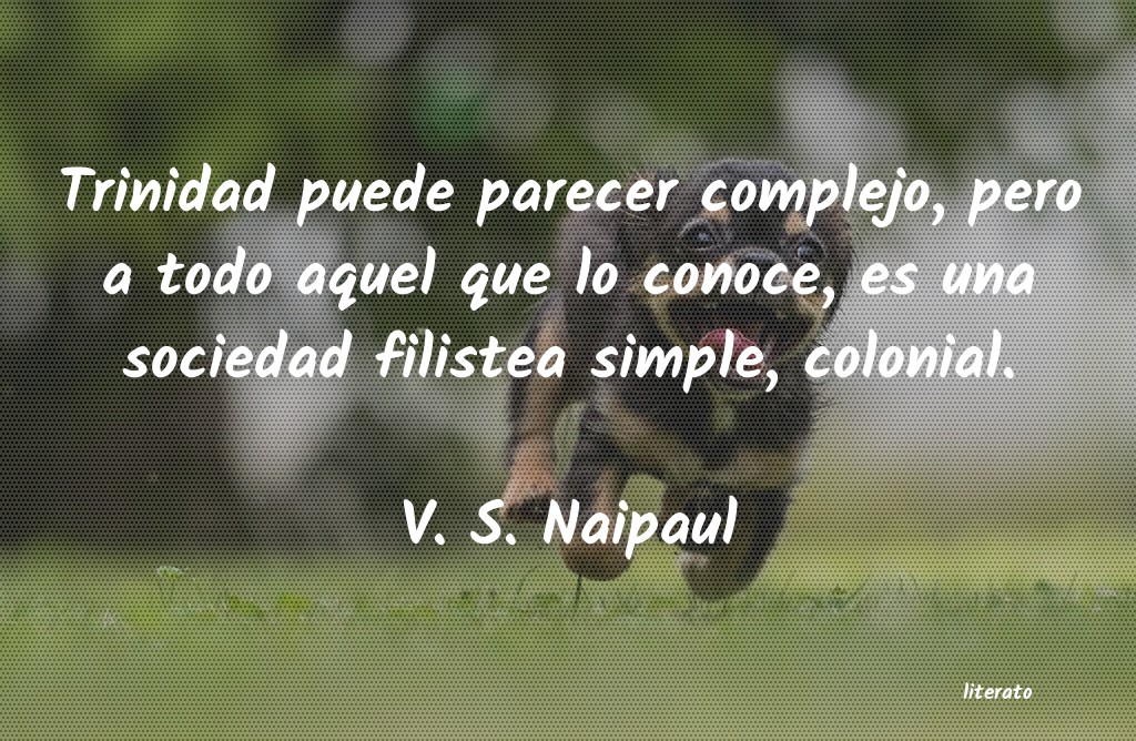 frases de V. S. Naipaul