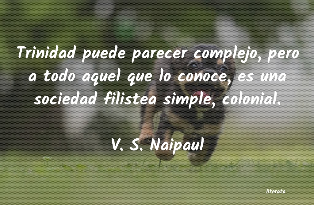 Frases de V. S. Naipaul