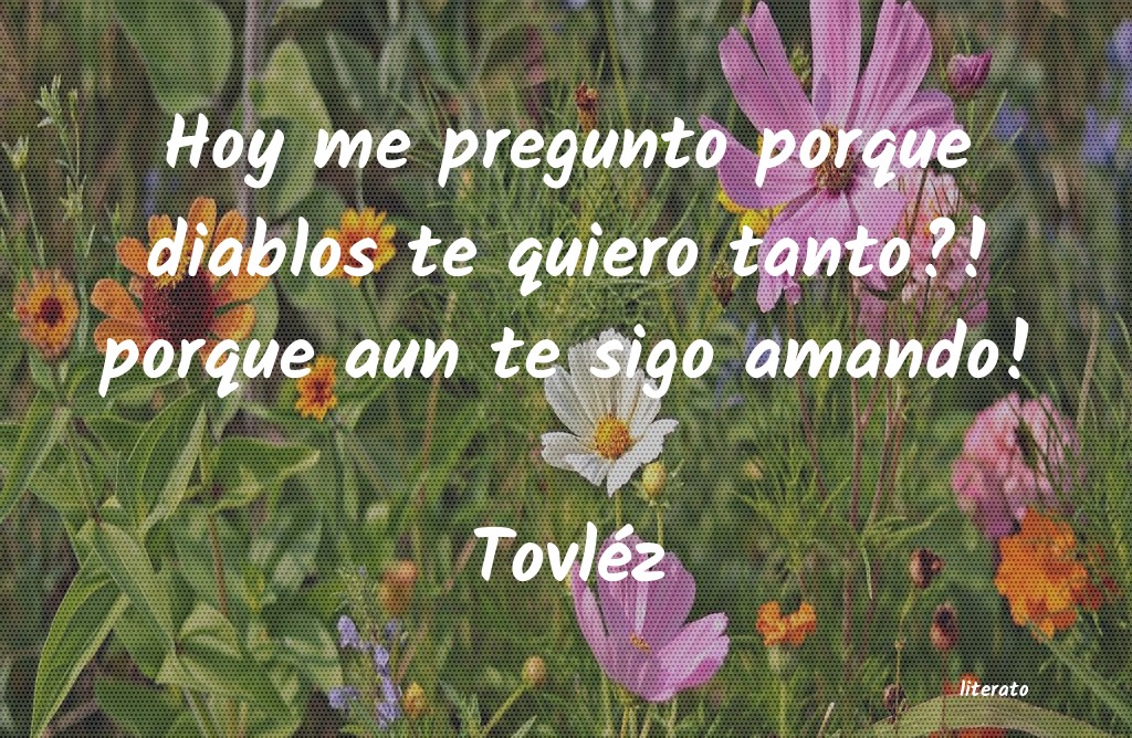 Frases de Tovléz