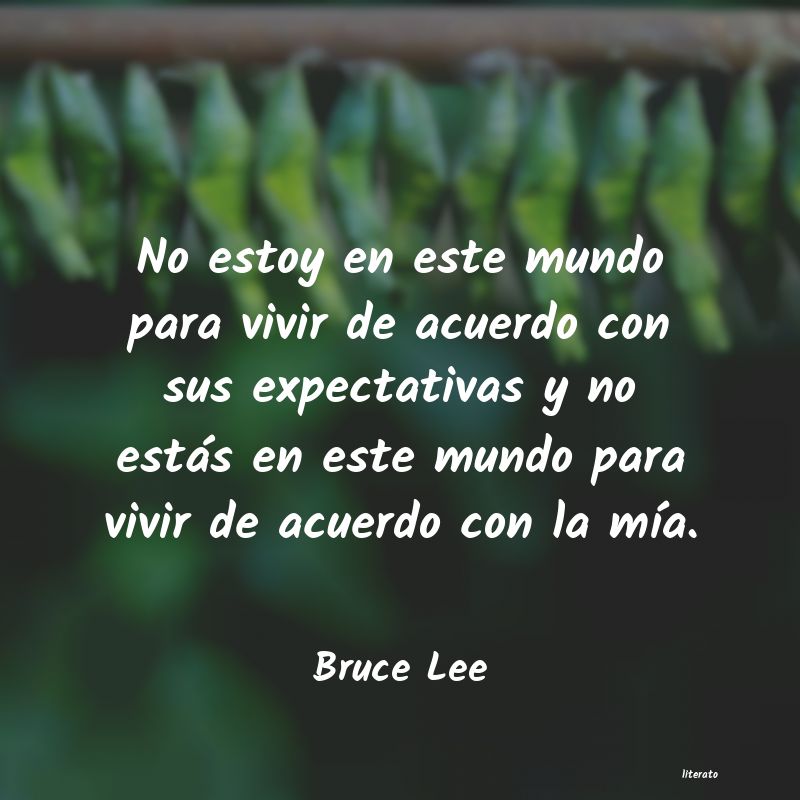 Frases de Bruce Lee