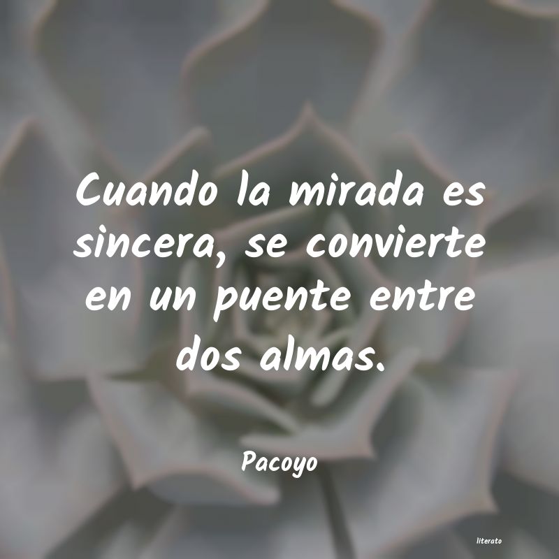 Frases de Pacoyo