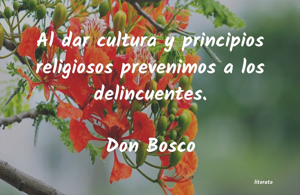Frases de Don Bosco