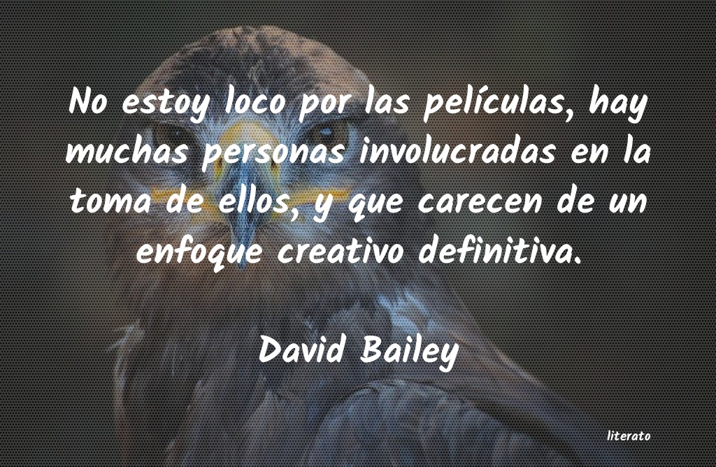 Frases de David Bailey