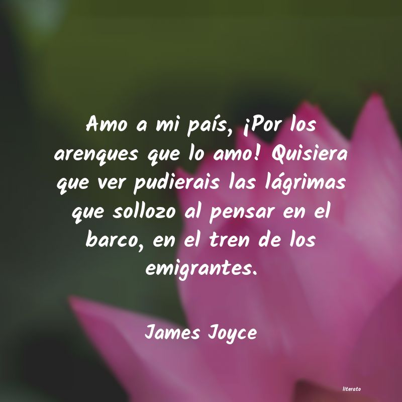 frases de James Joyce