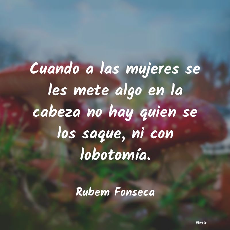 Frases de Rubem Fonseca