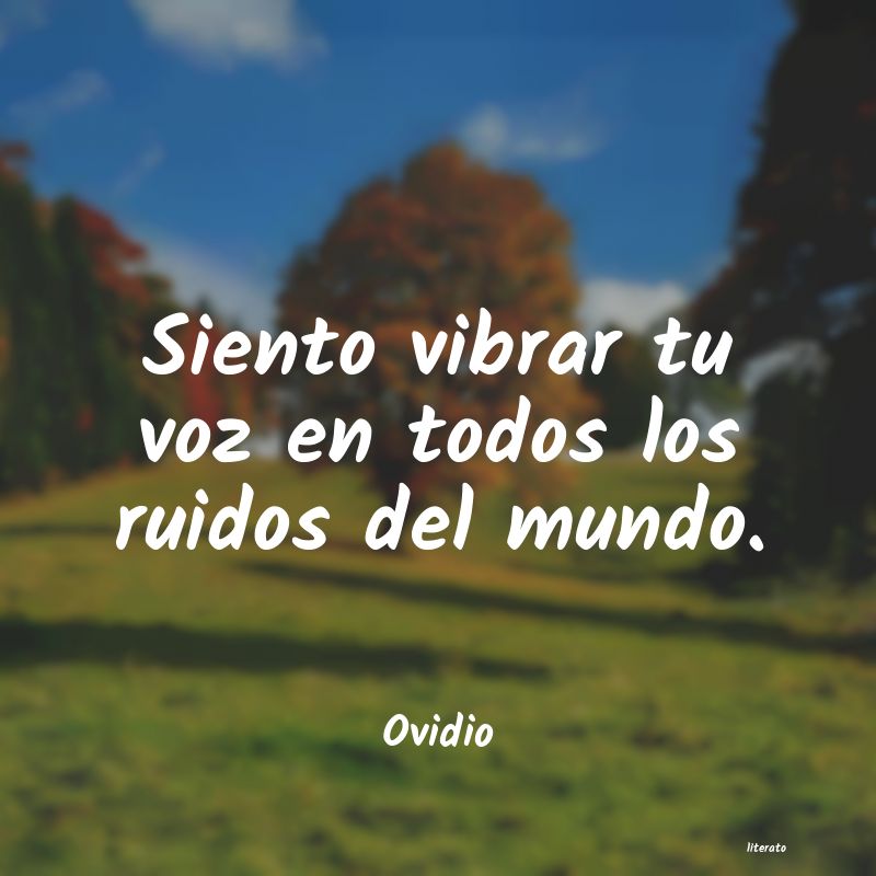 frases de Ovidio