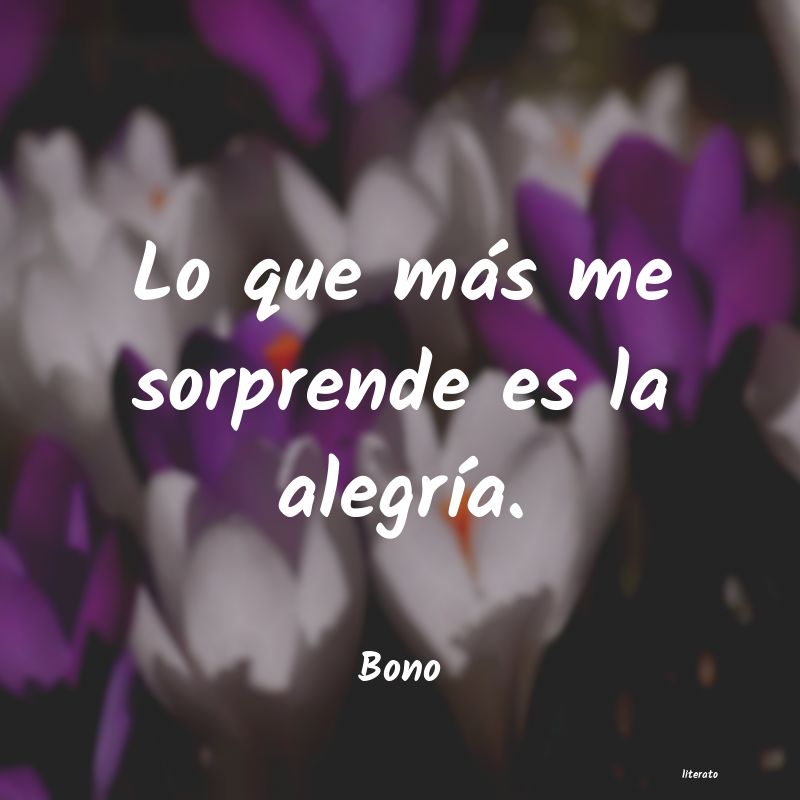 frases de Bono