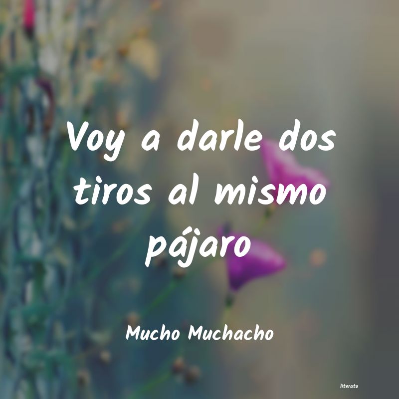 frases de Mucho Muchacho