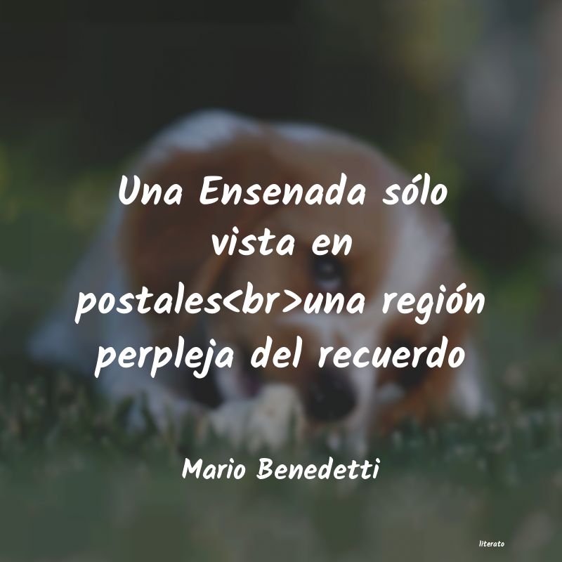 frases de Mario Benedetti