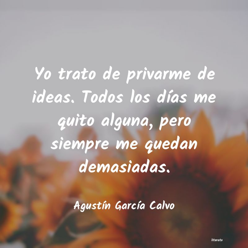 frases de AgustÃn GarcÃa Calvo