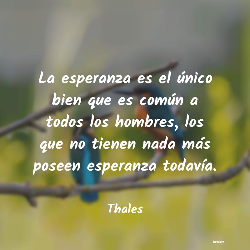 Frases de Thales