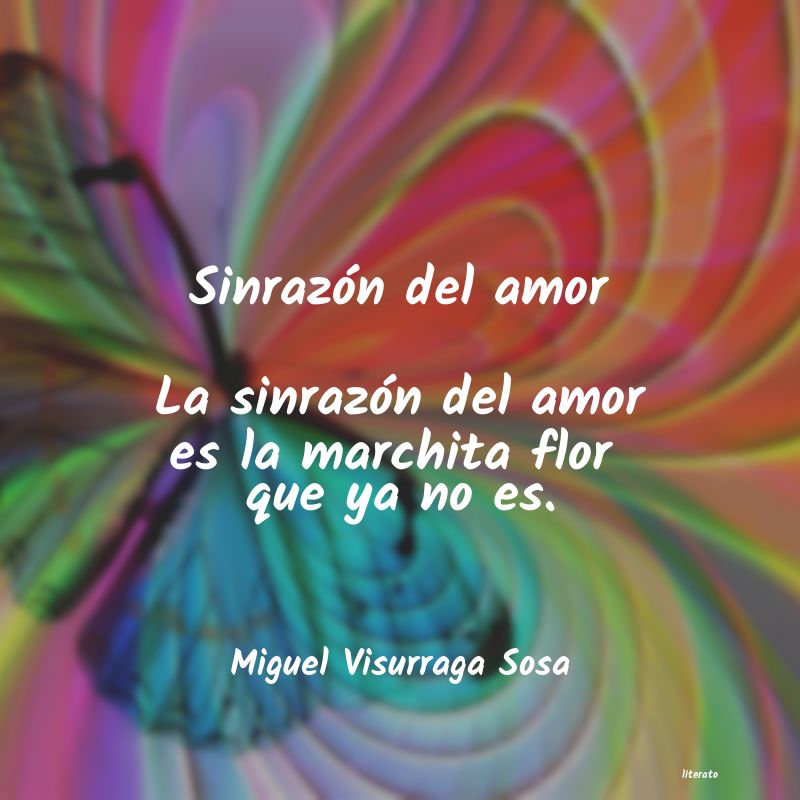 frases de Miguel Visurraga Sosa
