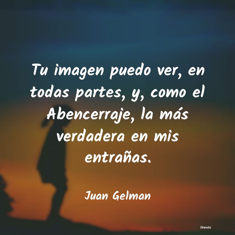 frases de Juan Gelman