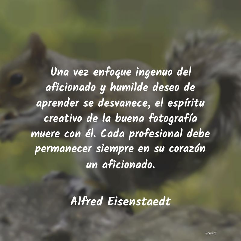 Frases de Alfred Eisenstaedt