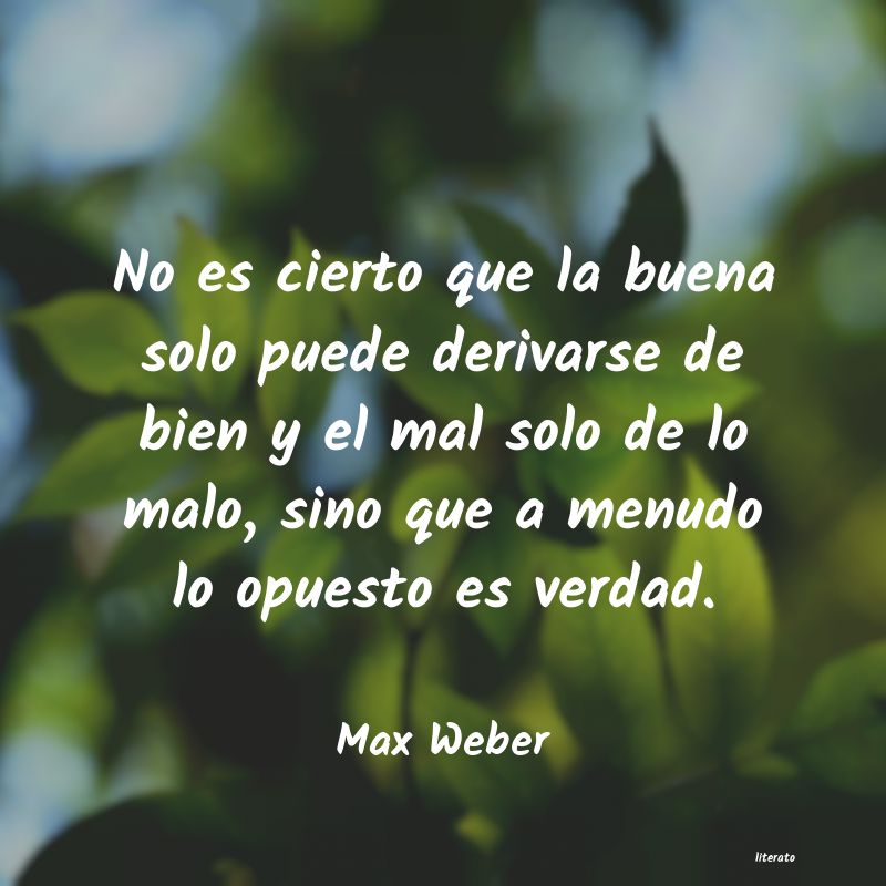 frases de Max Weber