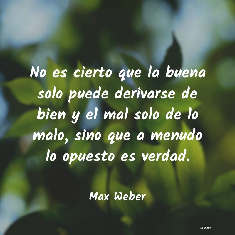 Frases de Max Weber