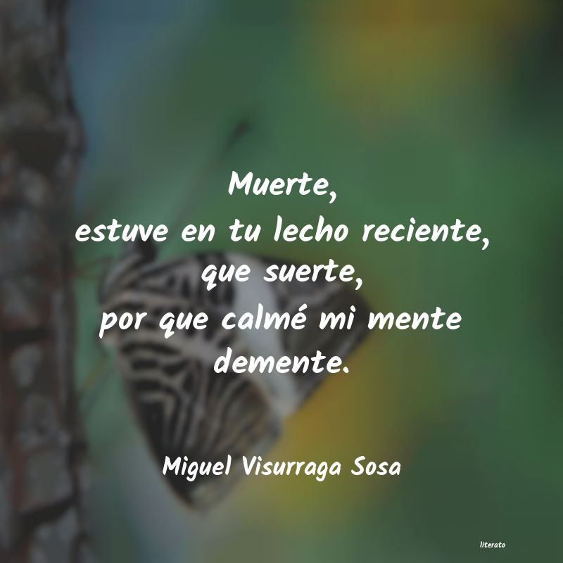 Frases de Miguel Visurraga Sosa