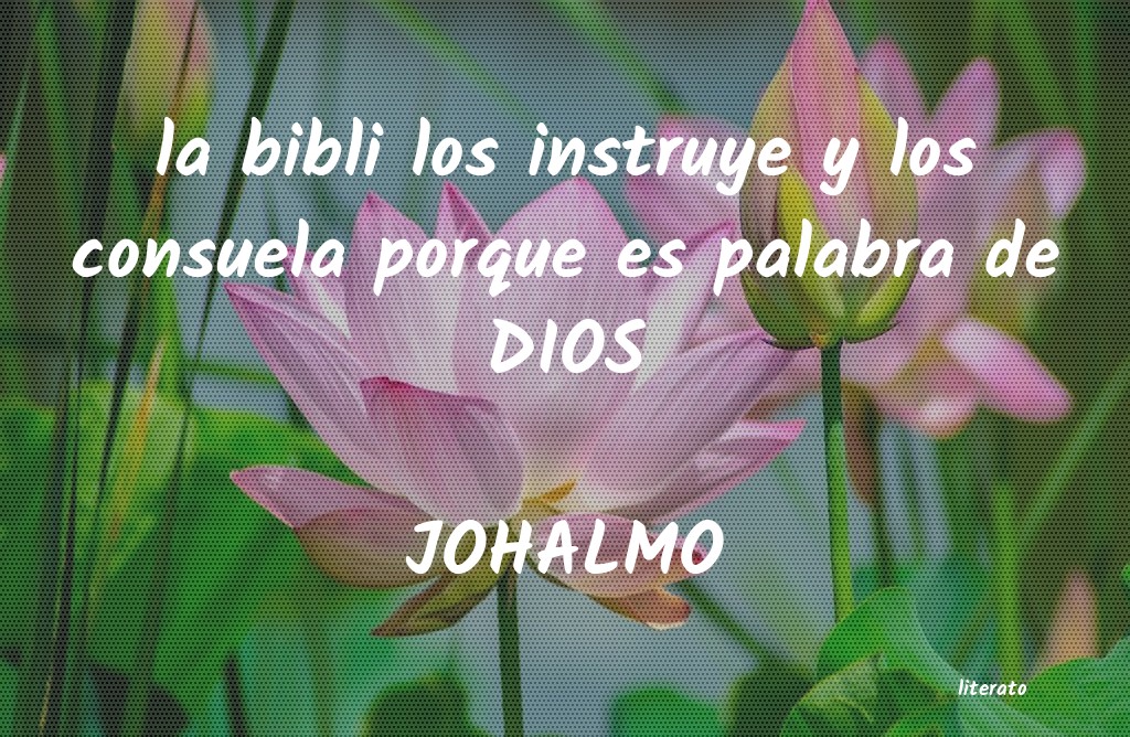 Frases de JOHALMO