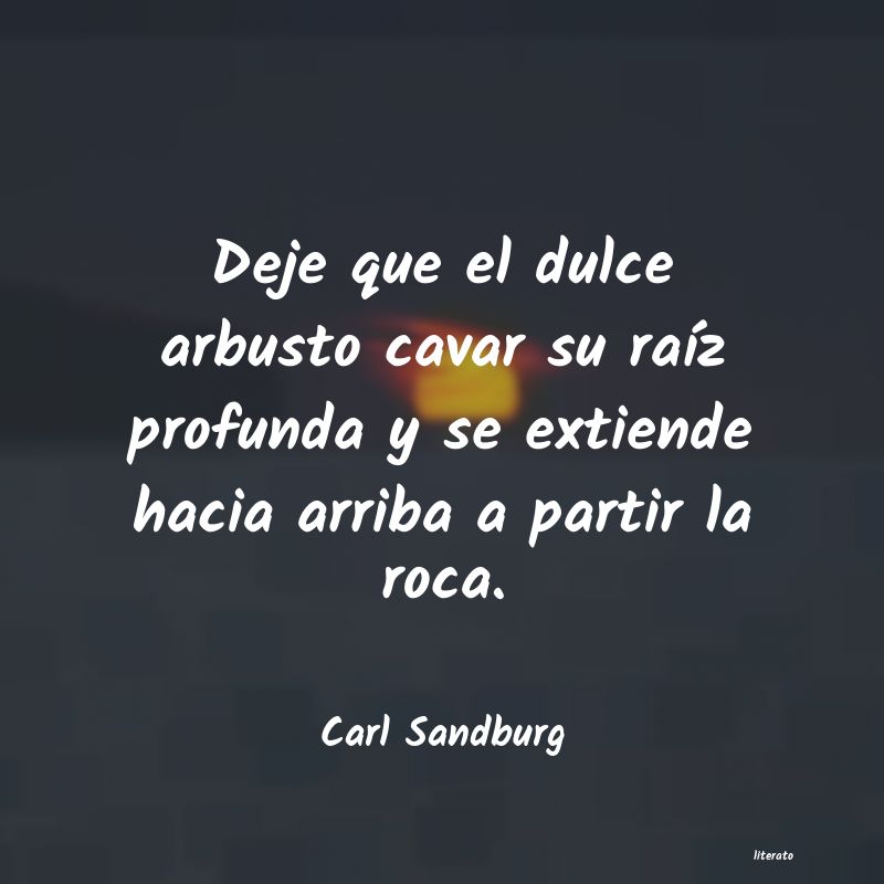 frases de Carl Sandburg