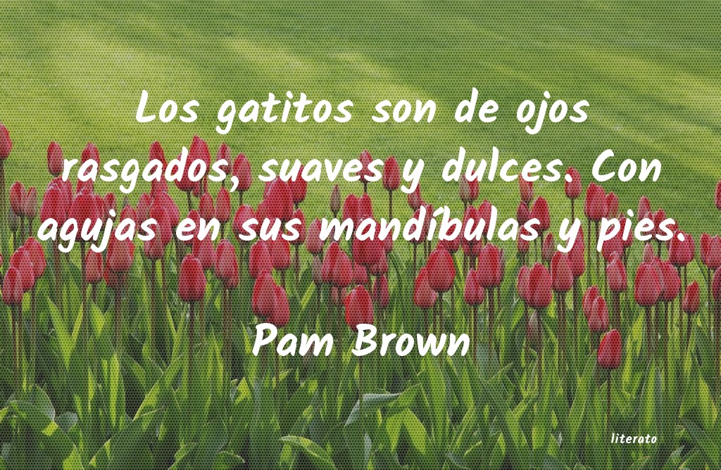 frases de Pam Brown