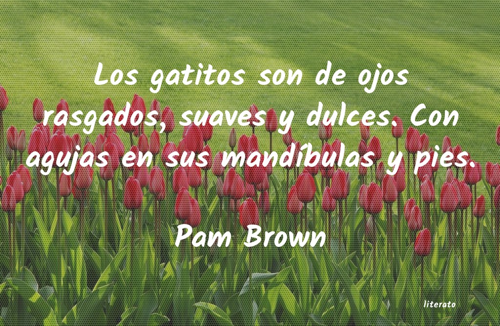 Frases de Pam Brown