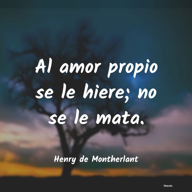 frases de Henry de Montherlant