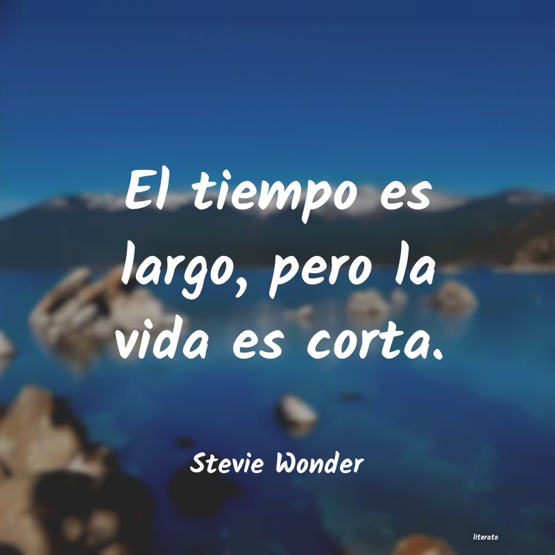 frases de Stevie Wonder