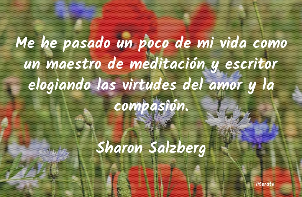 Frases de Sharon Salzberg