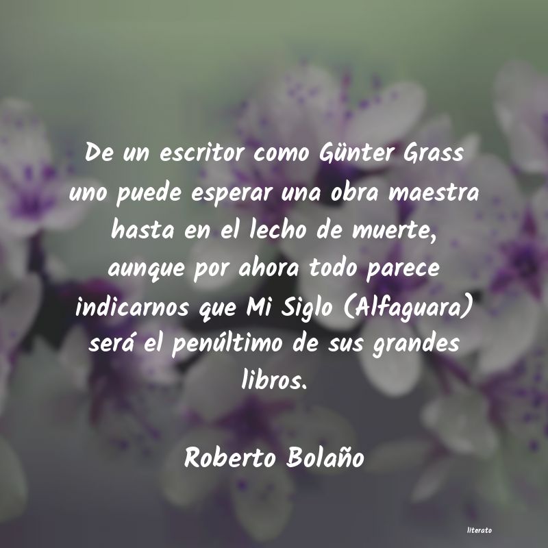 Frases de Roberto Bolaño