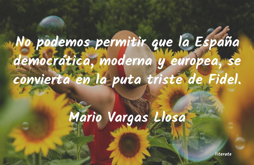 Frases de Mario Vargas Llosa