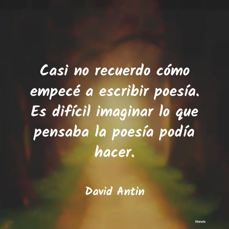 Frases de David Antin