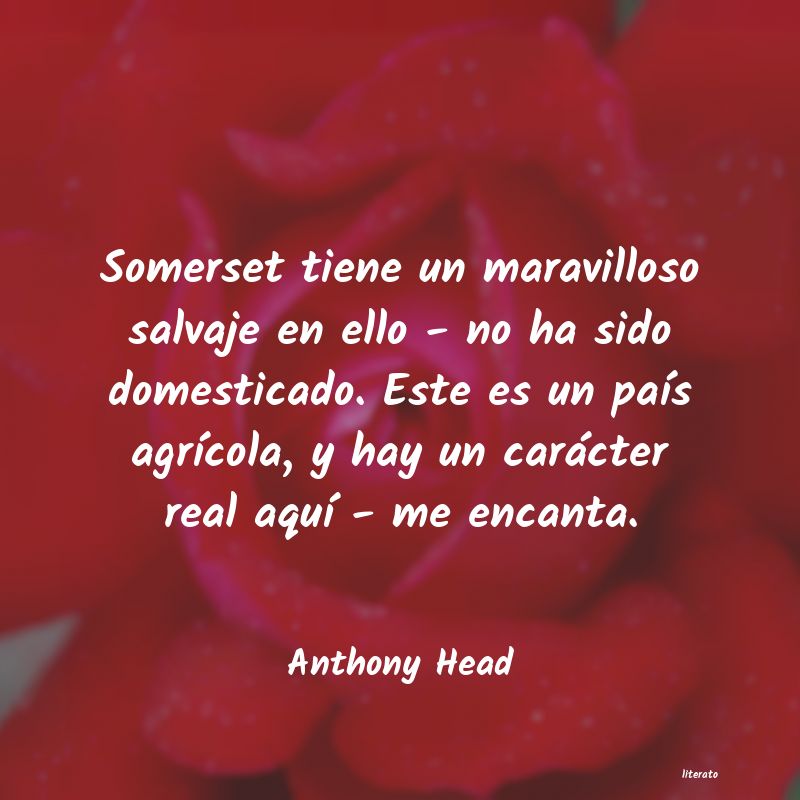 frases de Anthony Head