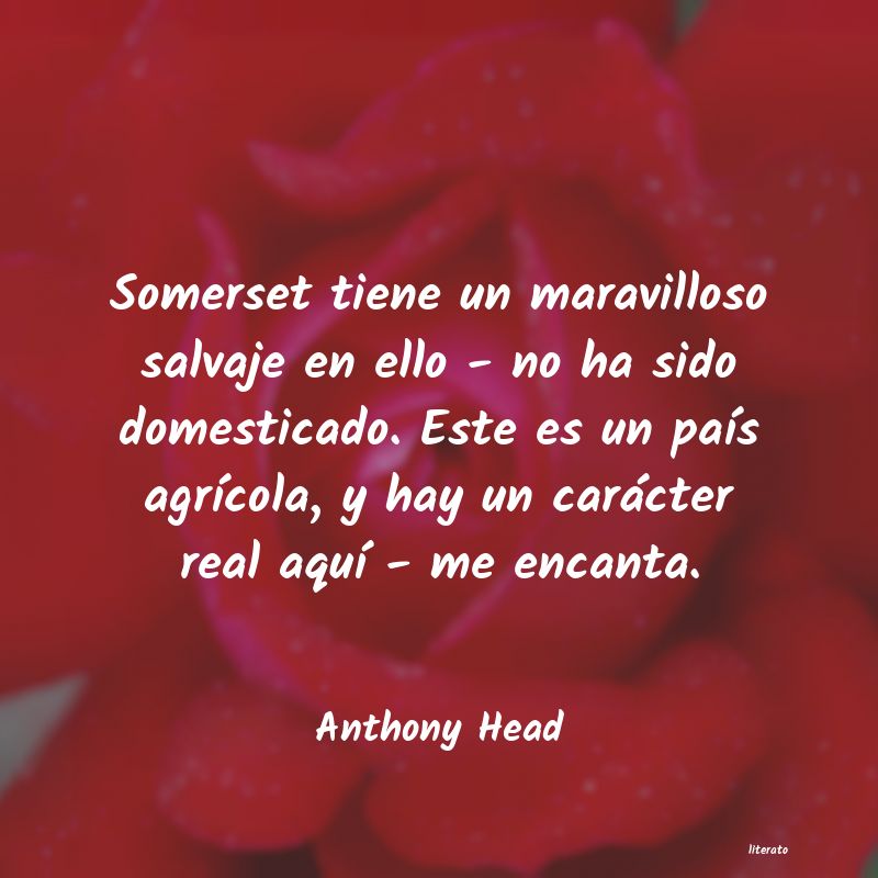 Frases de Anthony Head