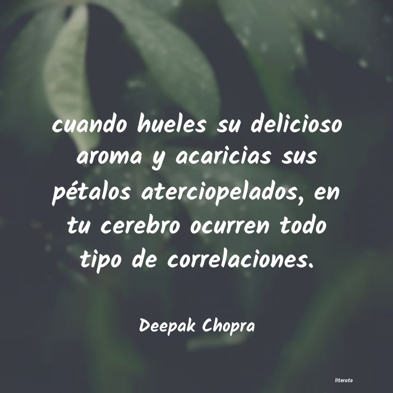 Frases de Deepak Chopra