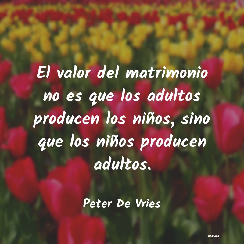 frases de Peter De Vries