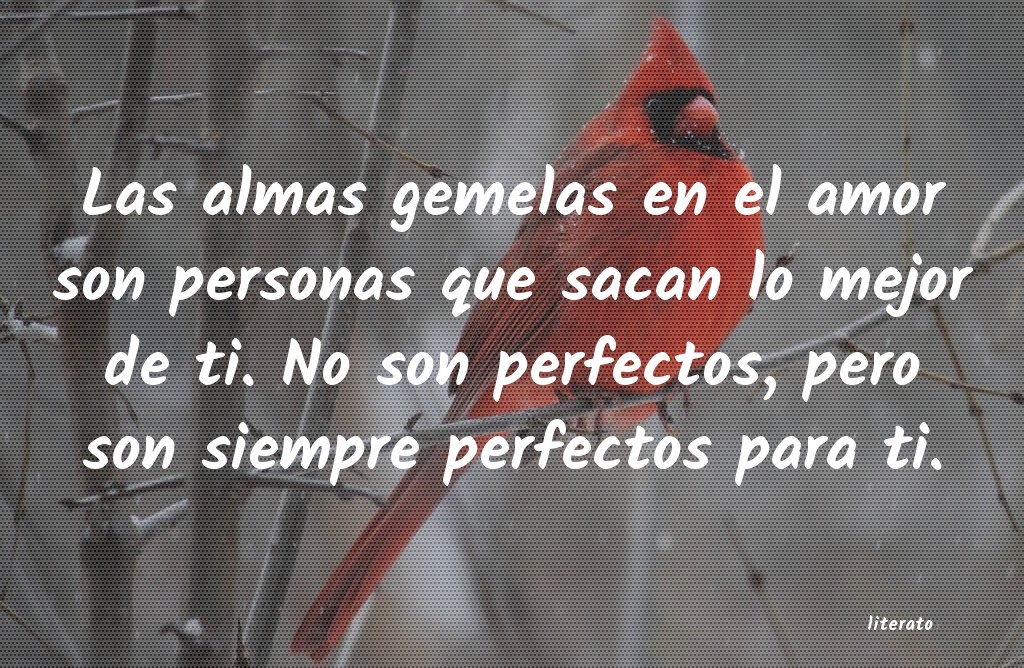 frases